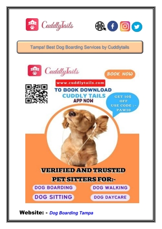 Tampa! Best Dog Boarding Services by Cuddlytails