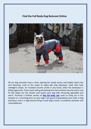 Find the Full Body Dog Raincoat Online