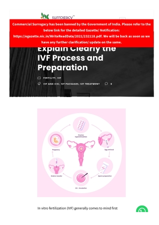 Explain Clearly the IVF Process and Preparation