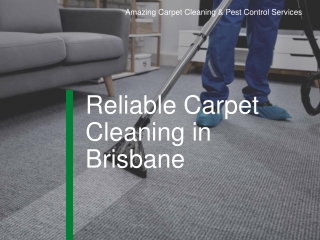 Reliable Carpet Cleaning in Brisbane