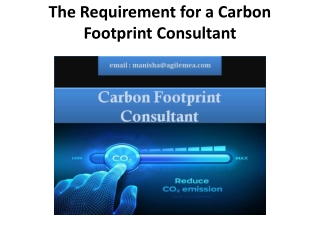 The Requirement for a Carbon Footprint Consultant