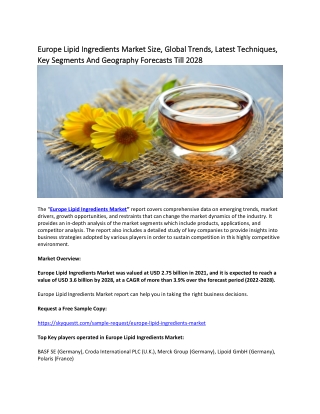 Europe Lipid Ingredients Market Size, Global Trends, Latest Techniques, Keys.