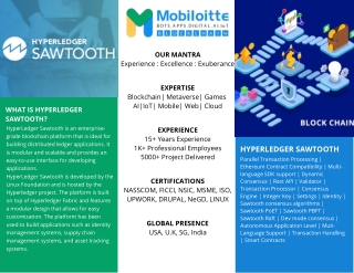 Hyperledger Development Company