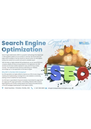 seo digital marketing company orlando |  seo packages in USA