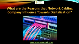 What are the Reasons that Network Cabling Company Influence Towards Digitalization