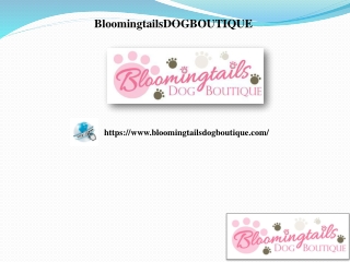 Luxury Accessories for Dogs, bloomingtailsdogboutique.com