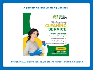 A perfect Carpet Cleaning Chelsea