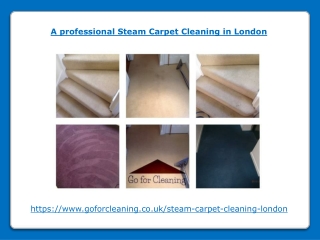 A professional Steam Carpet Cleaning in London