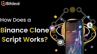 how a binance clone script works