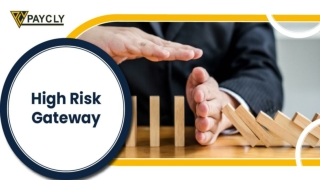 High-Risk Gateway Offer Special Services To The High-Risk Merchant