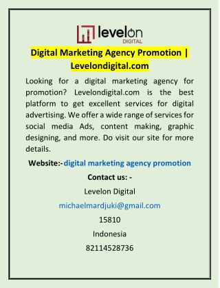 Digital Marketing Agency Promotion | Levelondigital.com