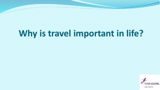 Why is travel important in life?