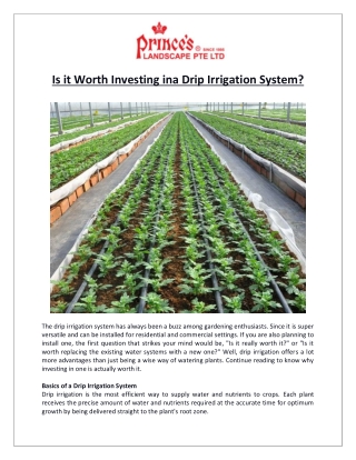 Prince’s Landscape Pte Ltd- Is it Worth Investing in a Drip Irrigation System?