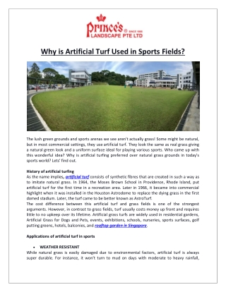 Prince’s Landscape Pte Ltd- Why is Artificial Turf Used in Sports Fields?