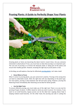 Prince’s Landscape Pte Ltd- Pruning Plants A Guide to Perfectly Shape Your Plants