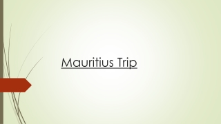 Enjoy the Amazing Sides of Mauritius with the Ideal Mauritius Trip