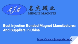 Order Now- Plastic Bonded Magnet in China