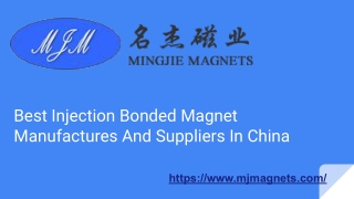 Injection Molded Magnet- Shop Now in china
