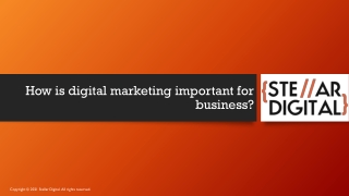 How is digital marketing important for business?