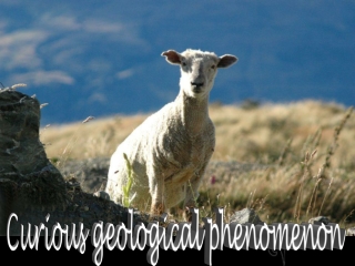 New Zealand Curious geological phenomenon