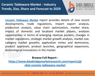 Ceramic Tableware Market