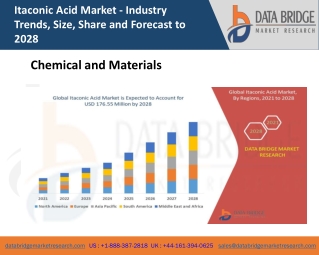 Itaconic Acid Market