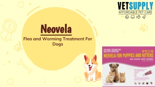 Neovela (Selamectin) Flea And Worming For Dogs | Flea & Tick Control | VetSupply