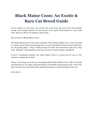 Black Maine Coon An Exotic & Rare Cat Breed Guide