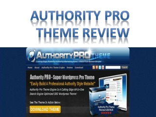 Authority Pro Theme Review