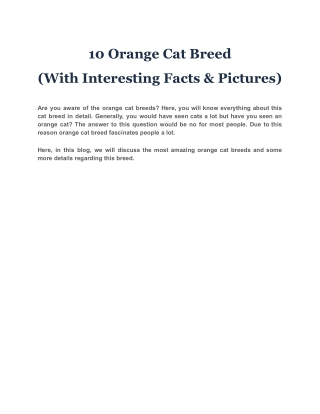 10 Orange Cat Breed  (With Interesting Facts & Pictures)