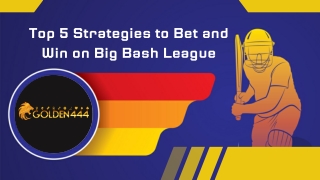 Top 5 Strategies to Bet and Win on Big Bash League - Golden444