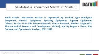 Saudi Arabia Laboratories Market Growth Drivers and Trends 2023-2030