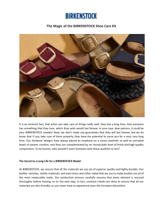 The Magic of the BIRKENSTOCK Shoe Care Kit - Read Now!