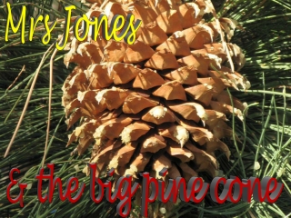 New Zealand The lonely Mrs Jones