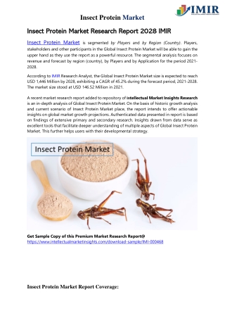 Insect Protein Market to Build Excessive Revenue at Healthy CAGR  at a 45.2%