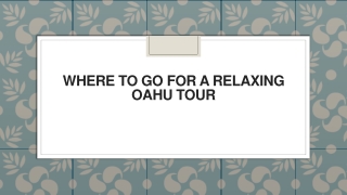 Where to Go for a Relaxing Oahu Tour