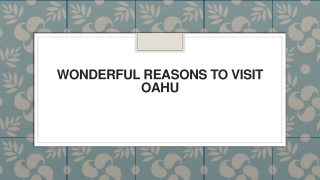 Wonderful Reasons to Visit Oahu