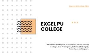 Excel PU College