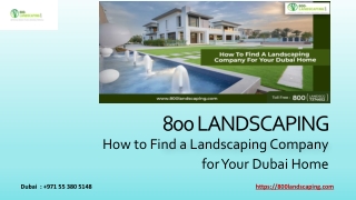 How to Find a Landscaping Company for Your Dubai Home