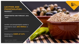 Lecithin and Phospholipids Market Size, Share | Opportunities