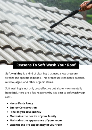 Reasons To Soft Wash Your Roof