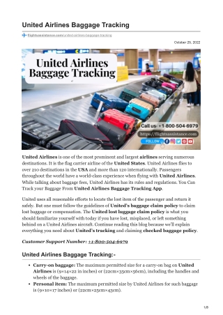 United Airlines Baggage Tracking