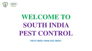 Cockroach Control in Chennai