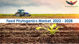 Feed Phytogenics Market Demand Forecast 2028