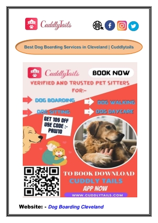 Best Dog Boarding Services in Cleveland | Cuddlytails