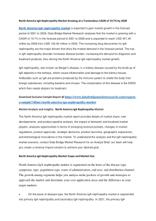 North America IgA Nephropathy Market Growing at a Tremendous CAGR of 19.7 by 2028 (1)