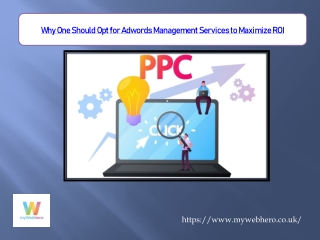 Why One Should Opt for Adwords Management Services to Maximize ROI