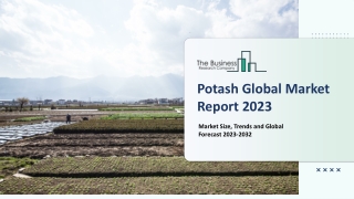 Potash Market Key Drivers, Trends, Growth, Outlook 2023-2032