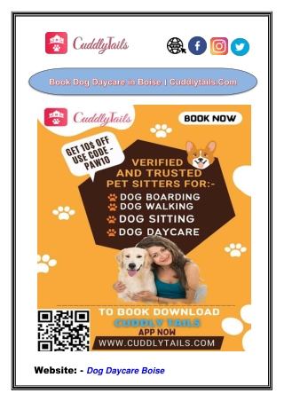 Book Dog Daycare in Boise । Cuddlytails.Com