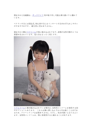 固定された内蔵膣は、ダッチワイフ用の取り外し可能な挿入膣よりも優れています